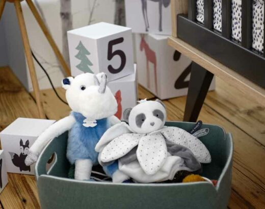 Quel coffre à jouets choisir pour bébé ?