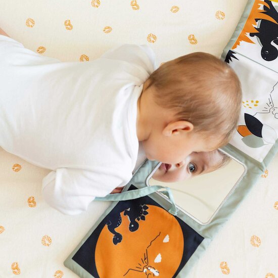 Diplododo Livre d'éveil Dinosaure  de Trois Kilos Sept