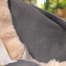 96Wx96H-01179859-10.jpg