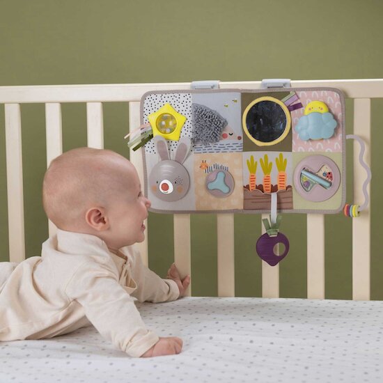 Centre d'activités   de Taf Toys