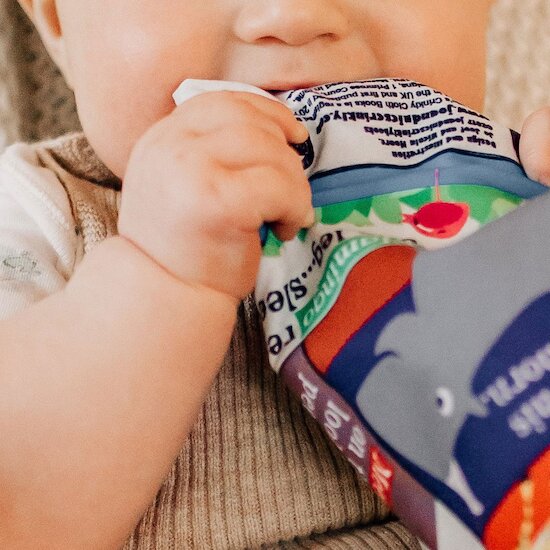 Mon petit journal - Les couleurs des animaux   de Crinkly