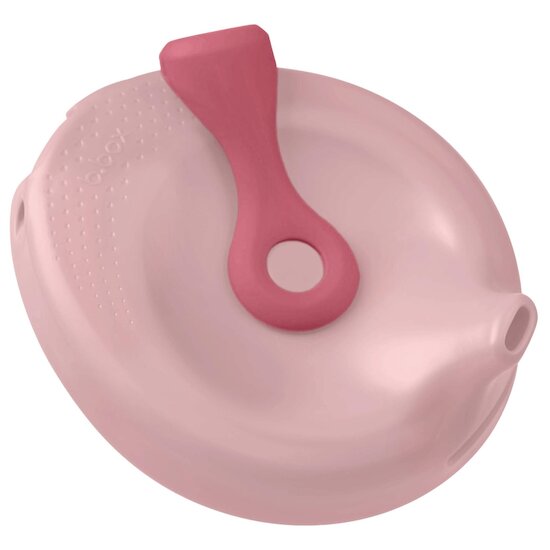 Boîte de conservation Fill & Feed Blush  de B.Box