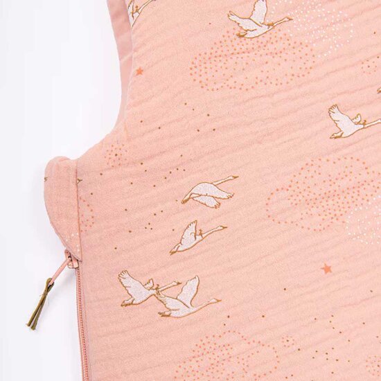 La Petite École de Danse Gigoteuse Rose  de Moulin Roty