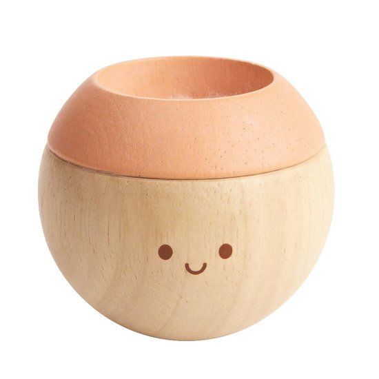 Boules stimulation sensorielle Bois  de Plan Toys