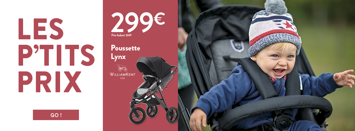 Aubert bugaboo Clearance