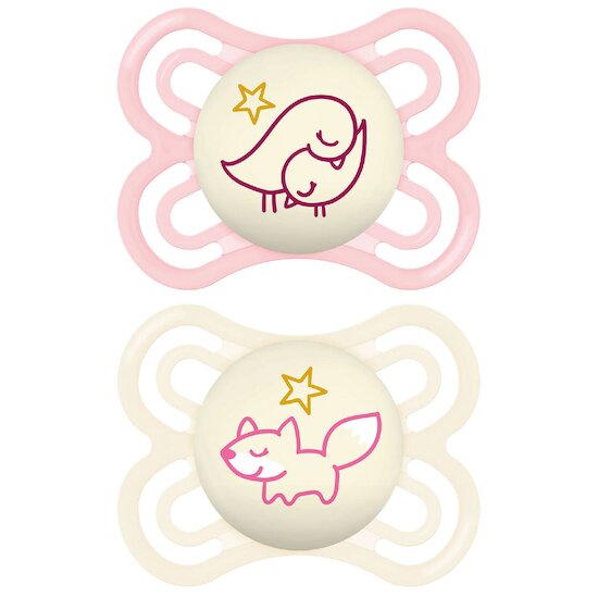 Lot de 2 Sucettes Perfect Nuit 2-6M Aléatoire  de Mam