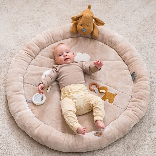 Charlie Tapis pouf d'éveil avec arches   de Nattou Charlie Tapis pouf d'éveil avec arches   de Nattou