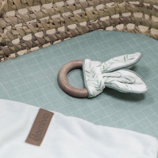 Filou Anneau de Dentition   de Domiva Filou Anneau de Dentition   de Domiva