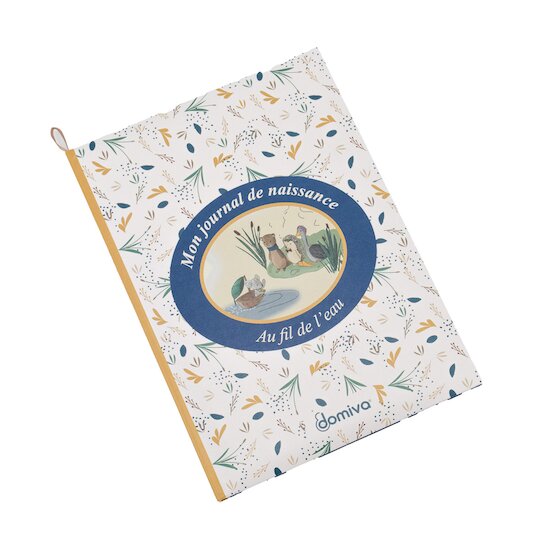 Au fil de l'eau Journal de Naissance   de Domiva