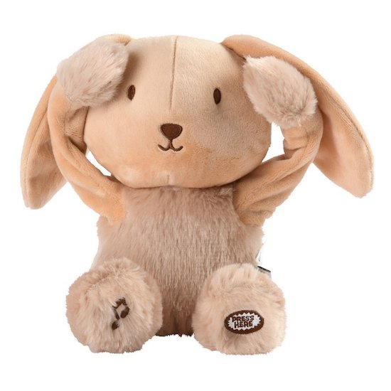 Peluche Coucou et Comptine Valentin Le lapin  de Piou Piou et Merveilles