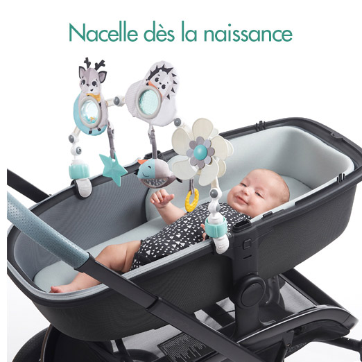 Tiny Love Arche d'activités Articulée pour poussette, clip universel,  Collection Black & White