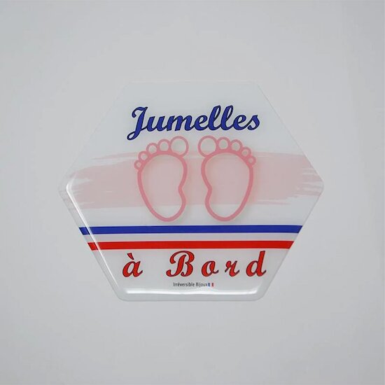 Signalétique Bébé à bord Jumelles Filles  de Irréversible