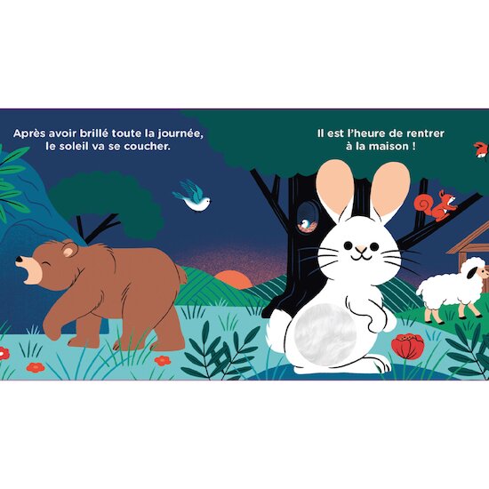 Livre Au dodo, Petit Lapin !   de Larousse