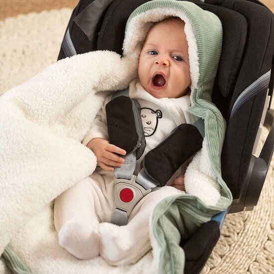 Wooly Nid d'ange Sauge 70 cm de Trois Kilos Sept