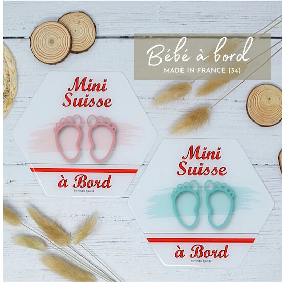 Signalétique Bébé à bord Mini Suissesse  de Irréversible