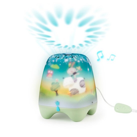 Manège enchanté musical