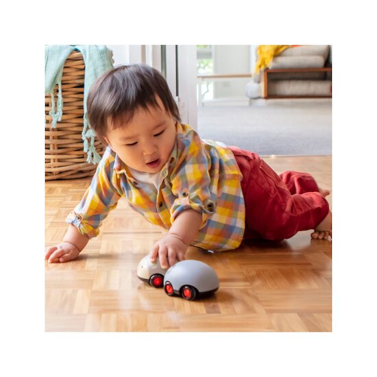 Voiture aussie animals   de Tiger Tribe