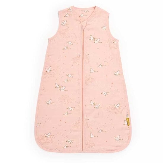La Petite École de Danse Gigoteuse été Rose  de Moulin Roty