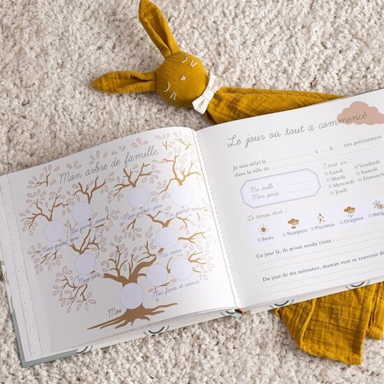 Livre de naissance bébé   de Atmosphera Livre de naissance bébé   de Atmosphera