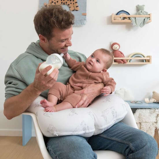 Coussin Softy Bear Family Gris  de Doomoo Coussin Softy Bear Family Gris  de Doomoo