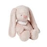 Alice & Pomme Peluche
