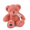 Le Nounours Ours en peluche