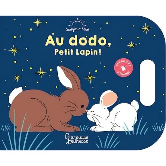 Livre Au dodo, Petit Lapin !   de Larousse