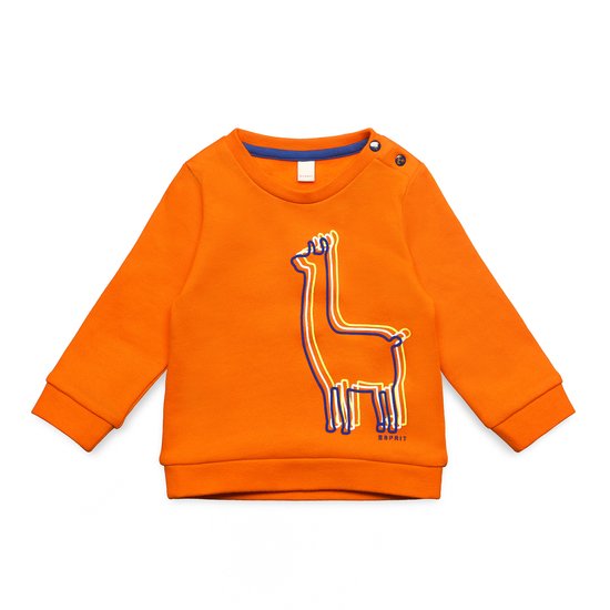 Sweat-shirt lama Orange 6 mois de Esprit Kids