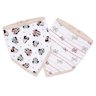 Lot de 2 bavoirs bandana