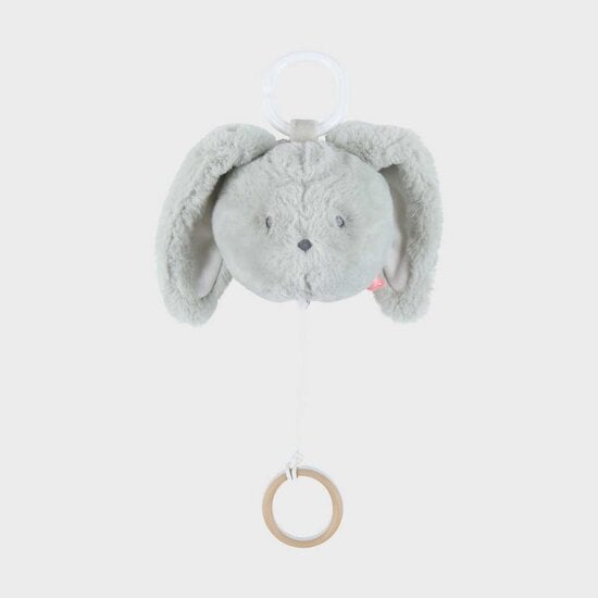 Peluche musicale Rosie & Verdi Verdi  de Noukies