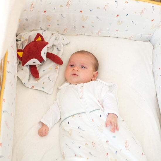 Cache cache en forêt Gigoteuse  6-18 mois de Trois Kilos Sept