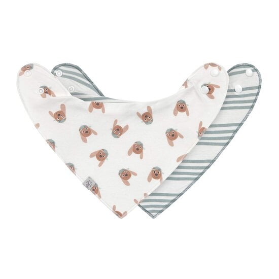 Tiny Team Lot 2 Bandanas Bébé Chien  de Lässig