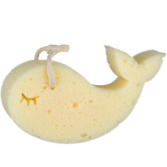 Éponge baleine