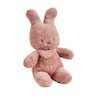 Lapidou Peluche Tipidou