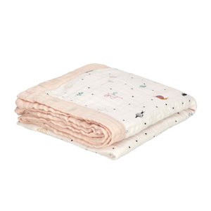 Garden Explorer Couverture