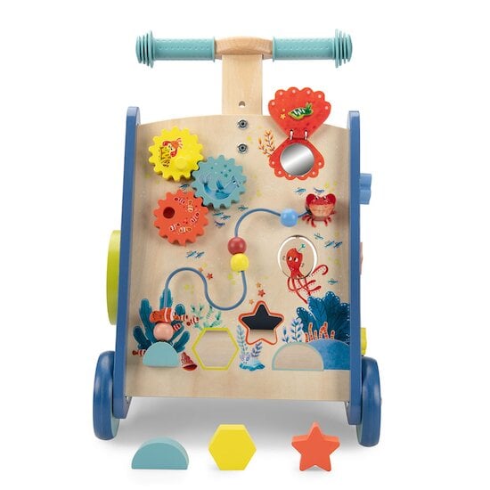 Les Aventures de Paulie Chariot de marche   de Moulin Roty