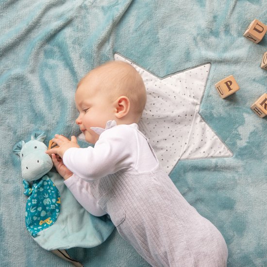 Tour de parc 2-en-1 Nile  de Domiva