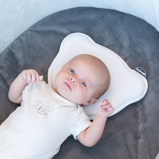 Cale Tete Bebe Blanc De Bo Jungle Cales Bebe Aubert Cale Tete Bebe Blanc De Bo Jungle Cales Bebe Aubert