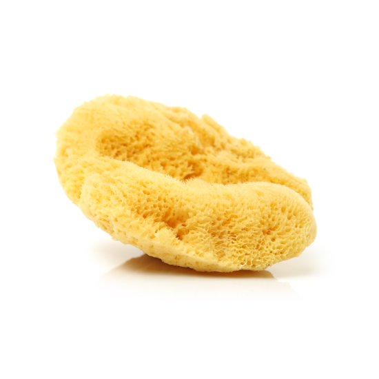 Eponge Naturelle Silk Fine T16 De Ok Baby Gants Et Eponges Aubert Eponge Naturelle Silk Fine T16 De Ok Baby Gants Et Eponges Aubert