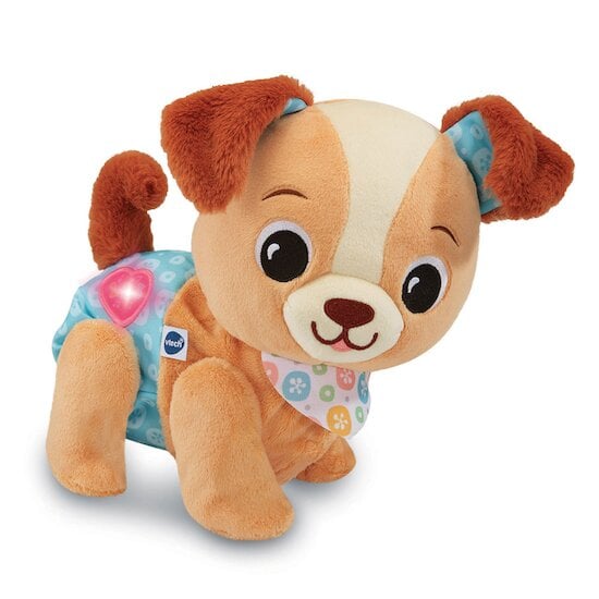 Chiot interactif Toutou 1,2,3 suis-moi   de Vtech