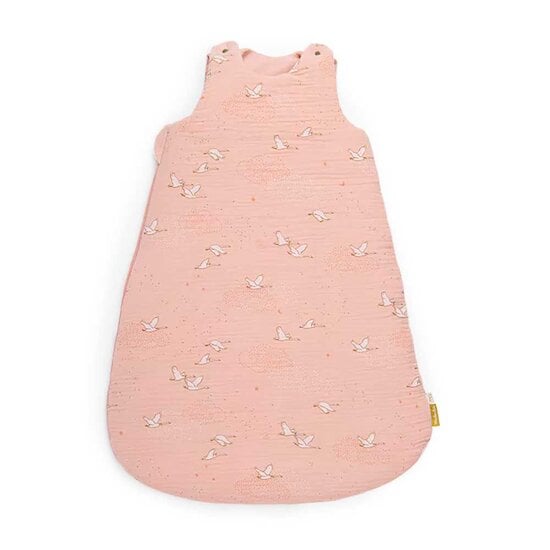La Petite École de Danse Gigoteuse Rose  de Moulin Roty