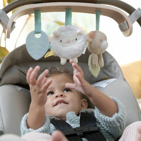 Arche Bois pour poussette et siège auto   de Ingenuity