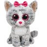 Beanie Boo's peluche