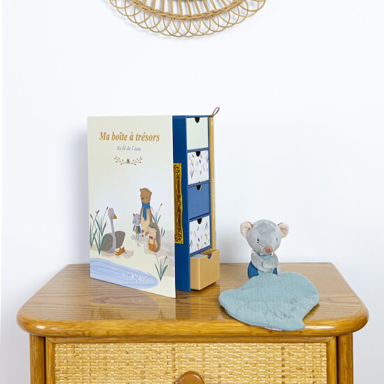 Au fil de l'eau Journal de Naissance   de Domiva