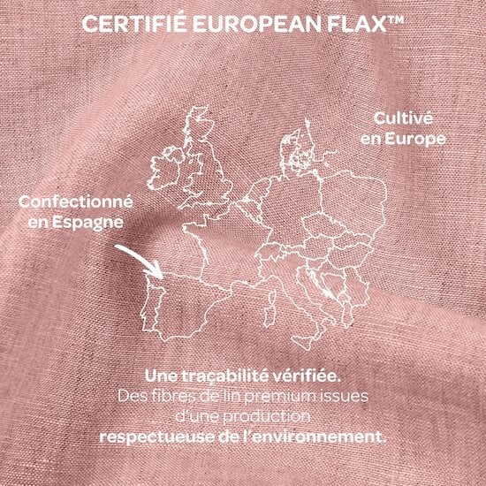 Coussin d'allaitement Big Flopsy™Lin Vieux Rose  de Béaba