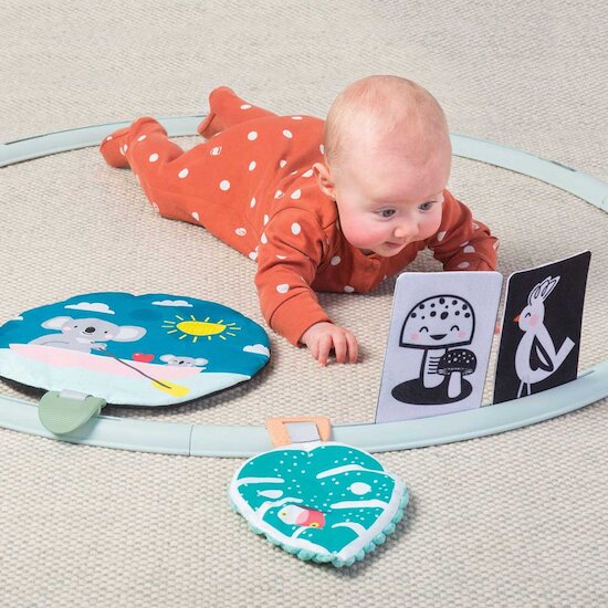 Cerceau d’activités All Around Me   de Taf Toys