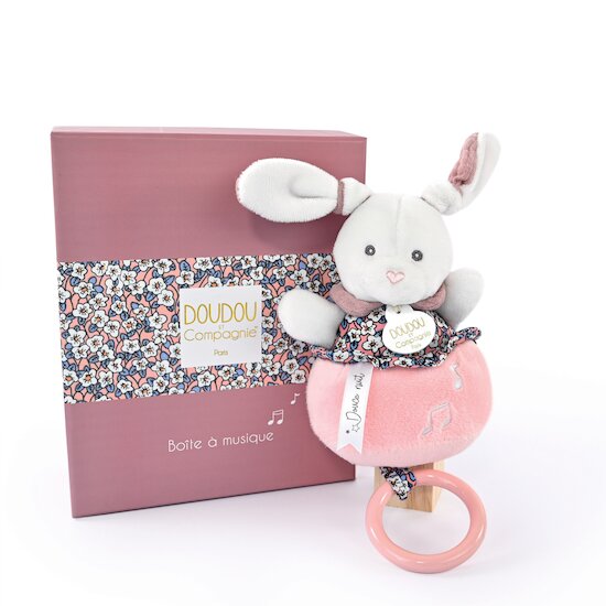 Lapin celeste - coffret carnet de santé + doudou Doudou et Compagnie  -DC2403 dans Doudou et Compagnie sur Collection peluche