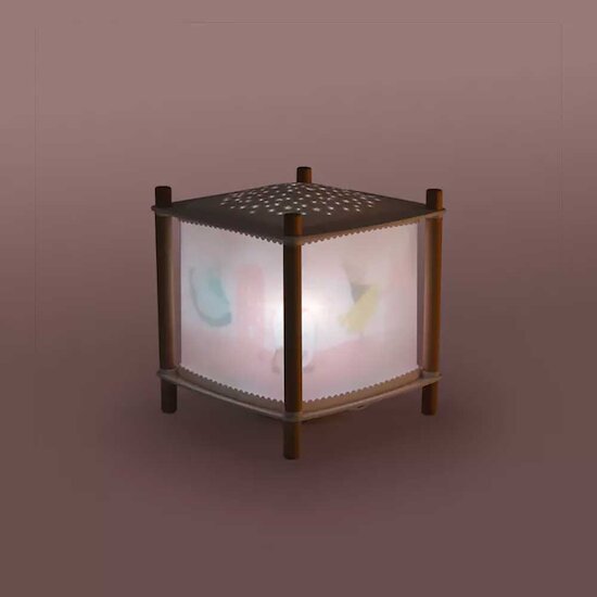 La Petite École de Danse Lanterne Magique Rose  de Moulin Roty