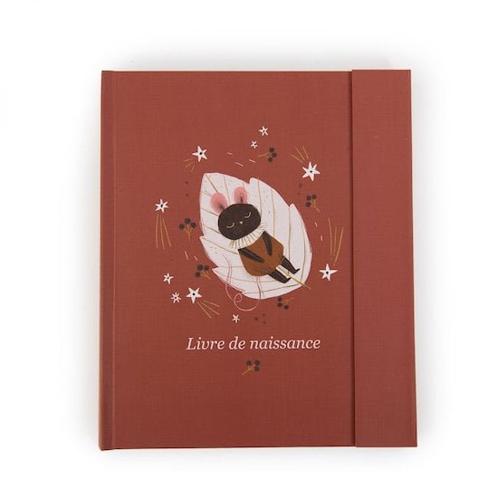 Album de Naissance avec Boîte à Empreinte Rose - Atmosphera For Kids