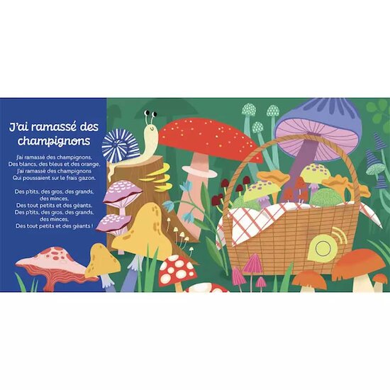 Mes premiers sonores - Mes comptines de la forêt   de AUZOU